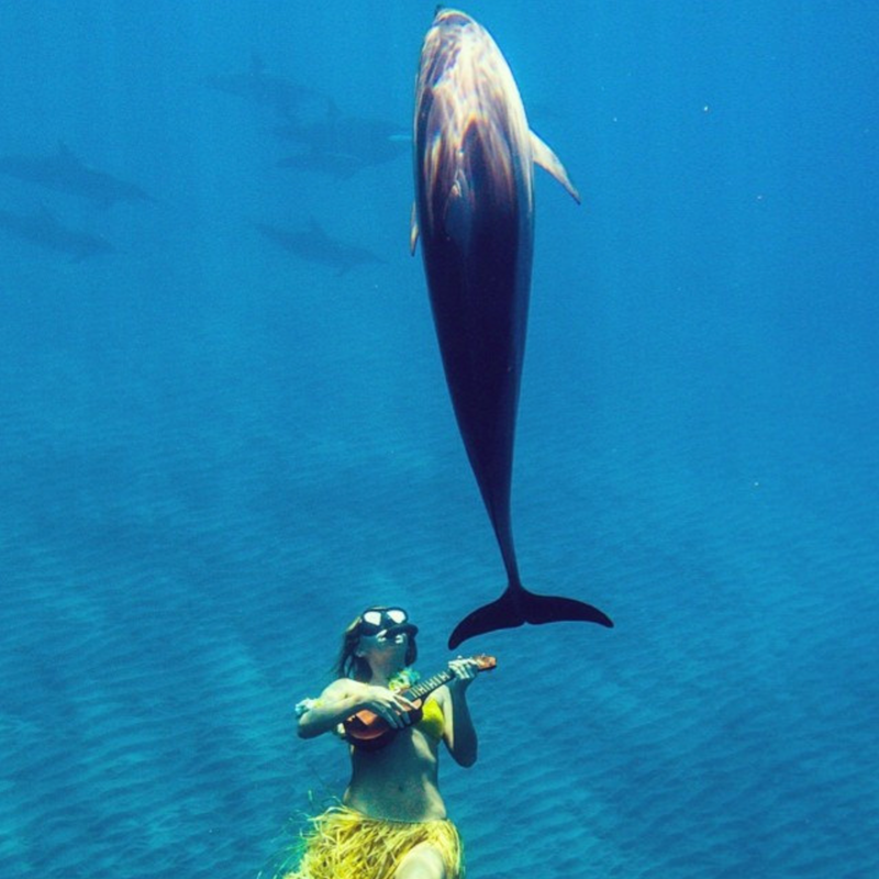 Illustration for article titled The beautiful and surreal sensuality of Sarah Lee's underwater photos